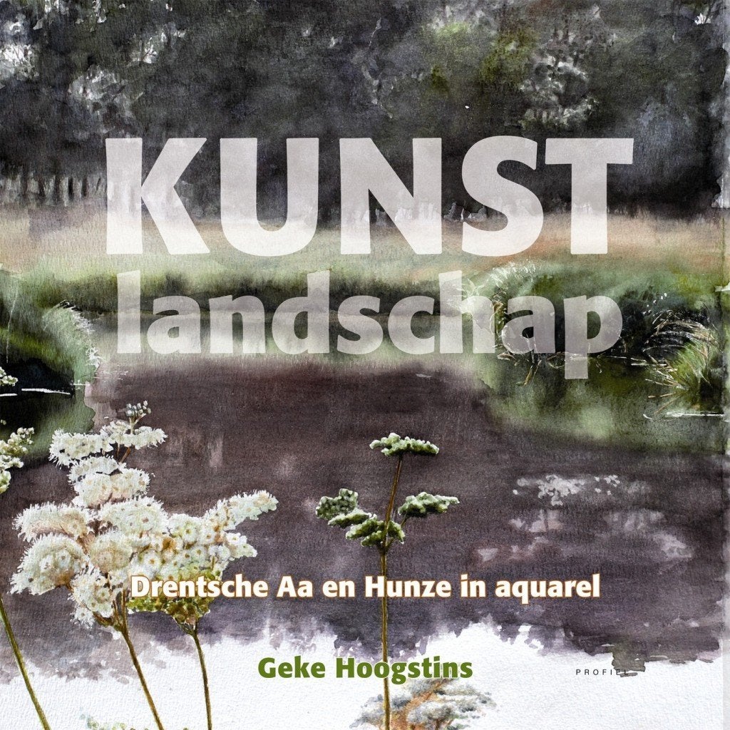 KUNSTlandschap door Geke Hoogstins, Boeken, Ophalen of Verzenden, Zo goed als nieuw, Schilder- en Tekenkunst