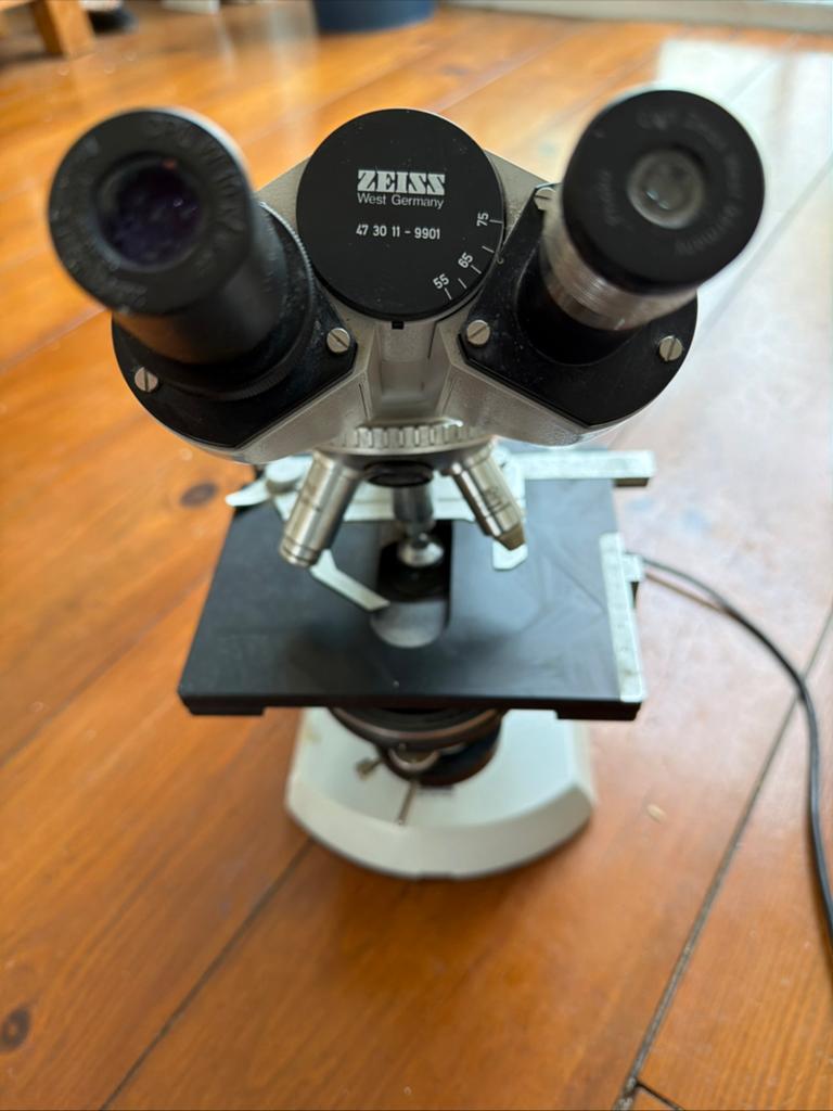 Carl Zeiss microscoop, Ophalen of Verzenden, Gebruikt, Minder dan 400x, Biologische microscoop