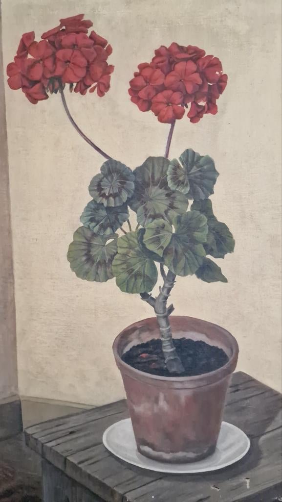 Schilderij bloem stilleven gesigneerd 55x70 cm, Ophalen of Verzenden