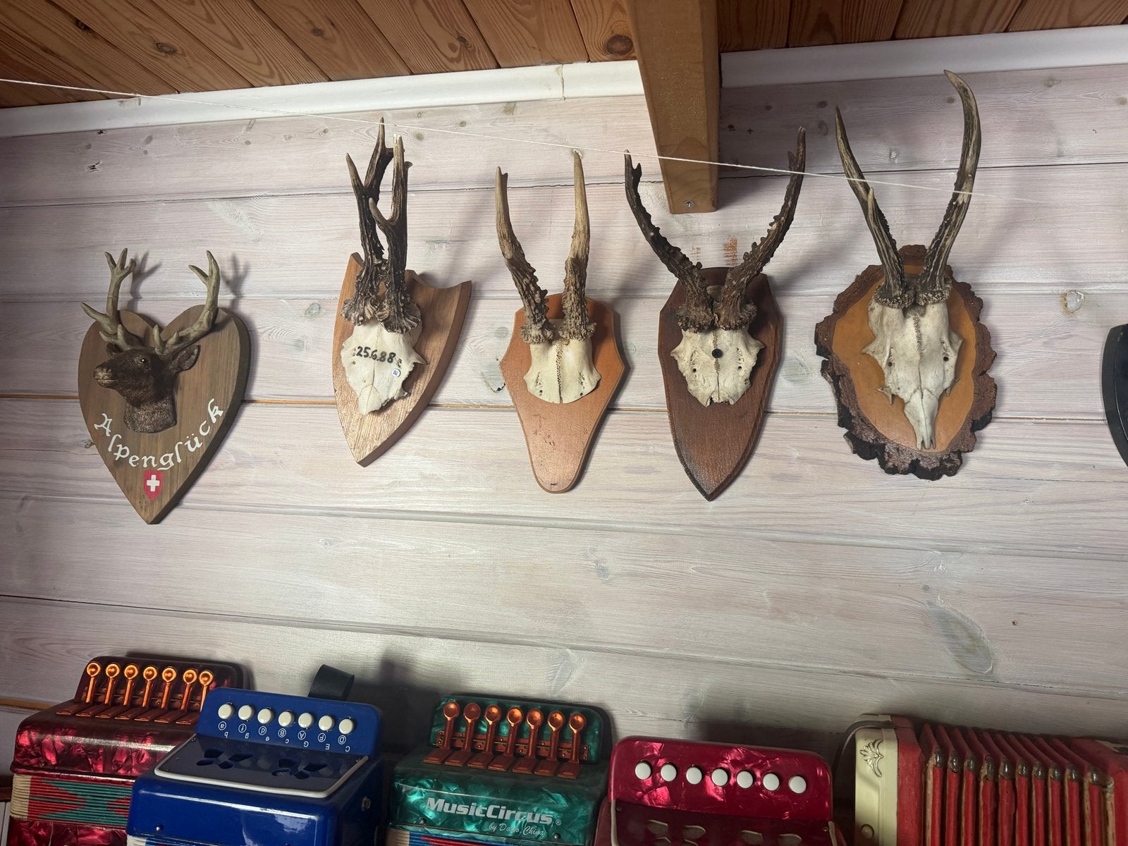 Diverse geweien in 1 koop, Ophalen, Gebruikt