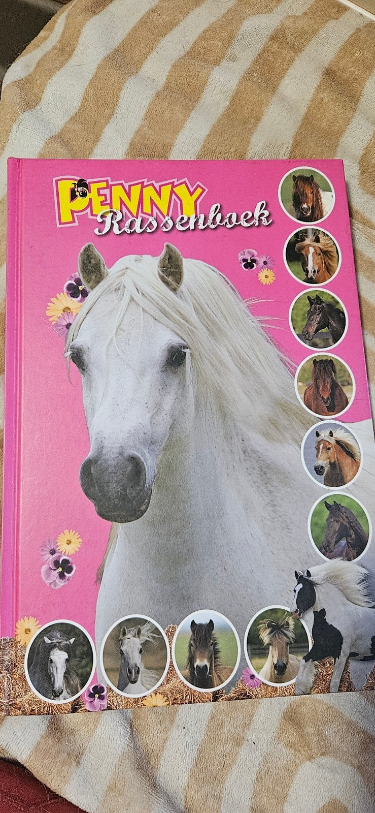 Penny Rassenboek - Paardenrassen Encyclopedie, Ophalen of Verzenden, Gelezen, Paarden of Pony's