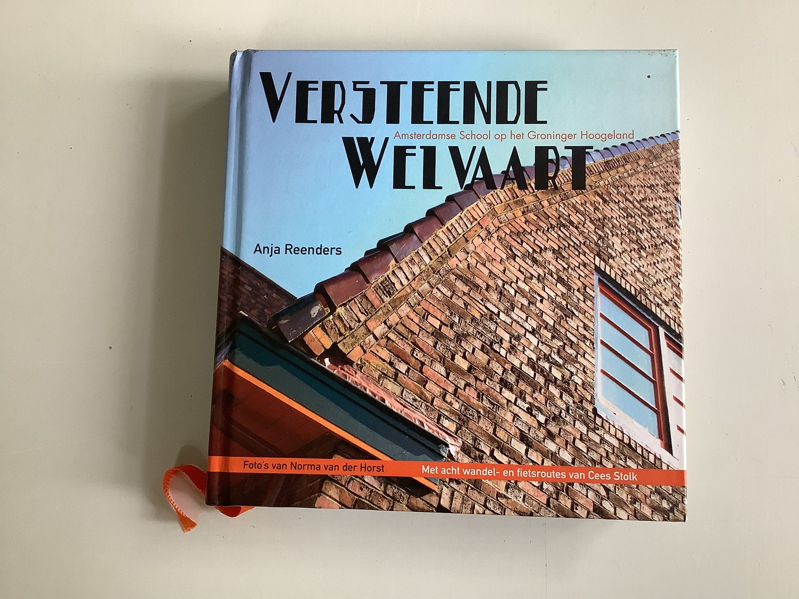 A. Reenders - Versteende Welvaart, Ophalen of Verzenden, Zo goed als nieuw, A. Reenders