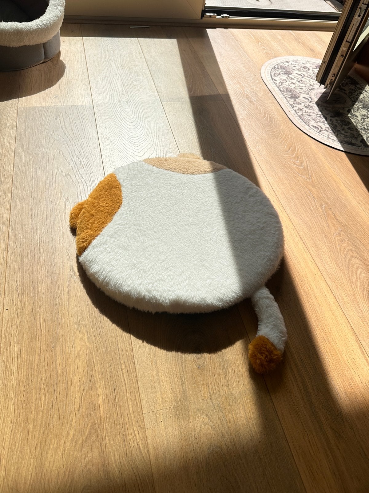Foto 3 van 2 IKEA stoelen wit + gratis kattenkussen