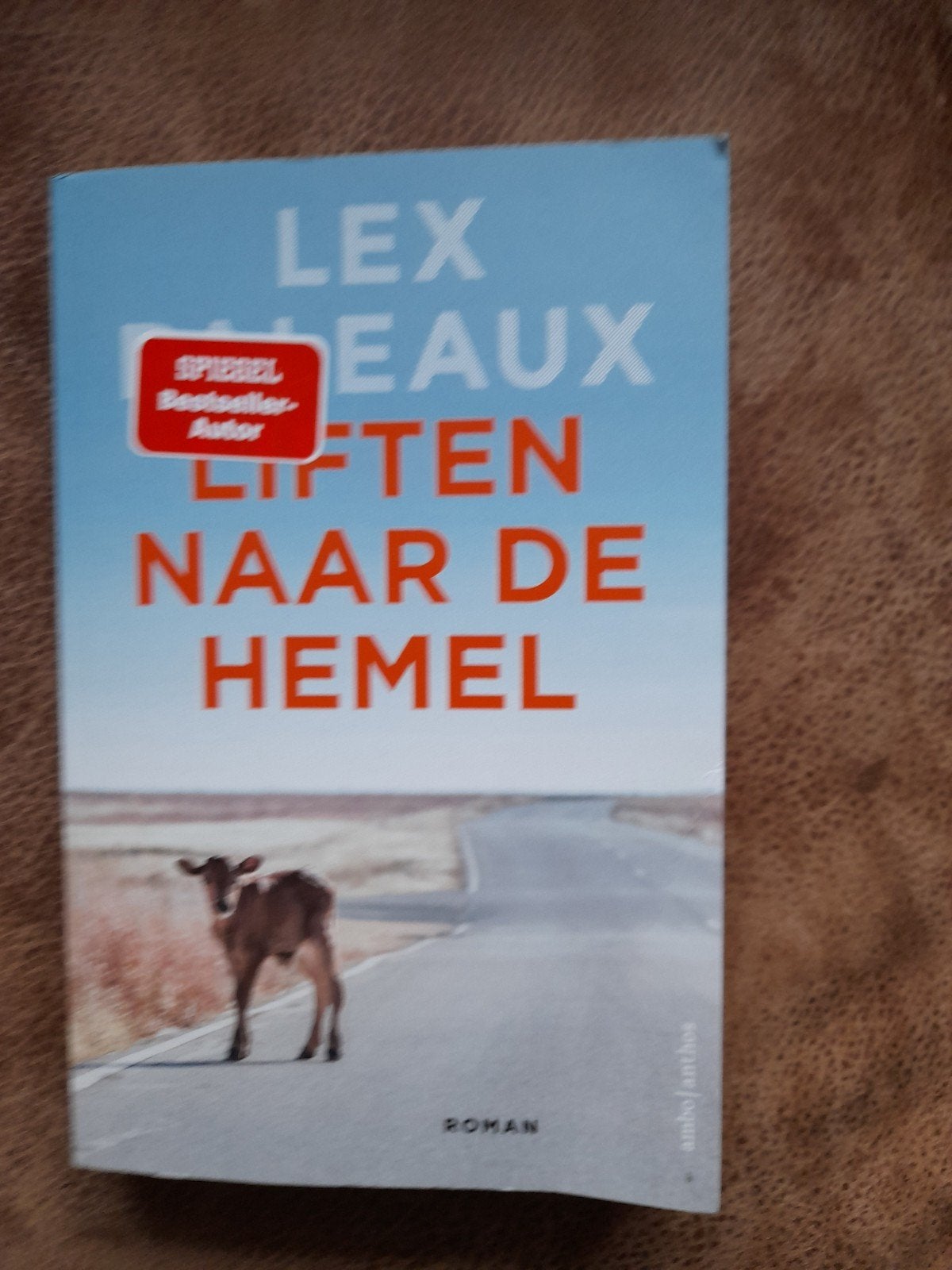 Liften naar de hemel, Ophalen of Verzenden, Zo goed als nieuw, Europa