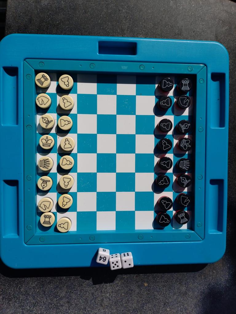 Drijvend Magnetisch Schaak & Backgammon Spel voor Zwembad, Een of twee spelers, Ophalen, Gebruikt
