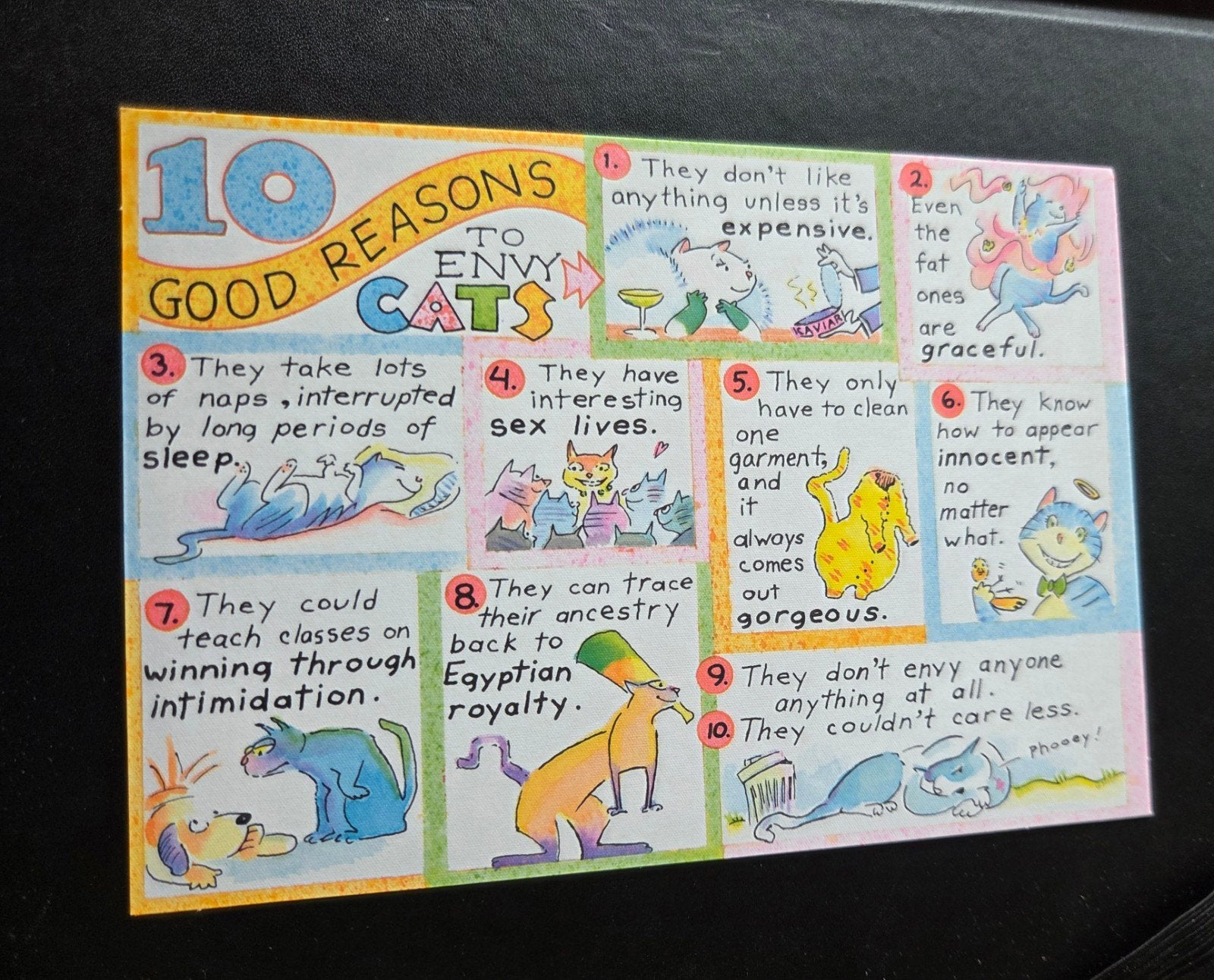 Hallmark Ansichtkaart: 10 Redenen om Katten te Benijden, Verzenden, 1980 tot heden, Ongelopen, Overige thema's