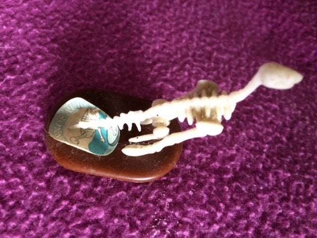 dino skelet van plastic ong 3 cm hoog komt uit een ei, Ophalen of Verzenden, Gebruikt