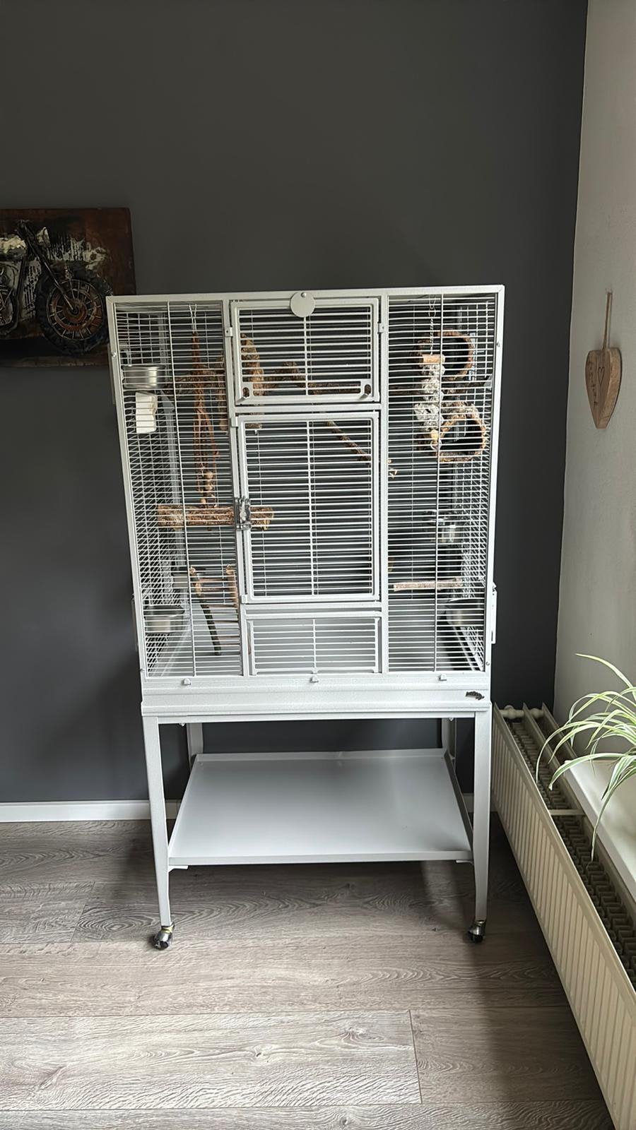 Vogelkooi Montana New Madeira Single Platinum, Dieren en Toebehoren, Vogels | Hokken en Kooien, Ophalen, Zo goed als nieuw, Metaal