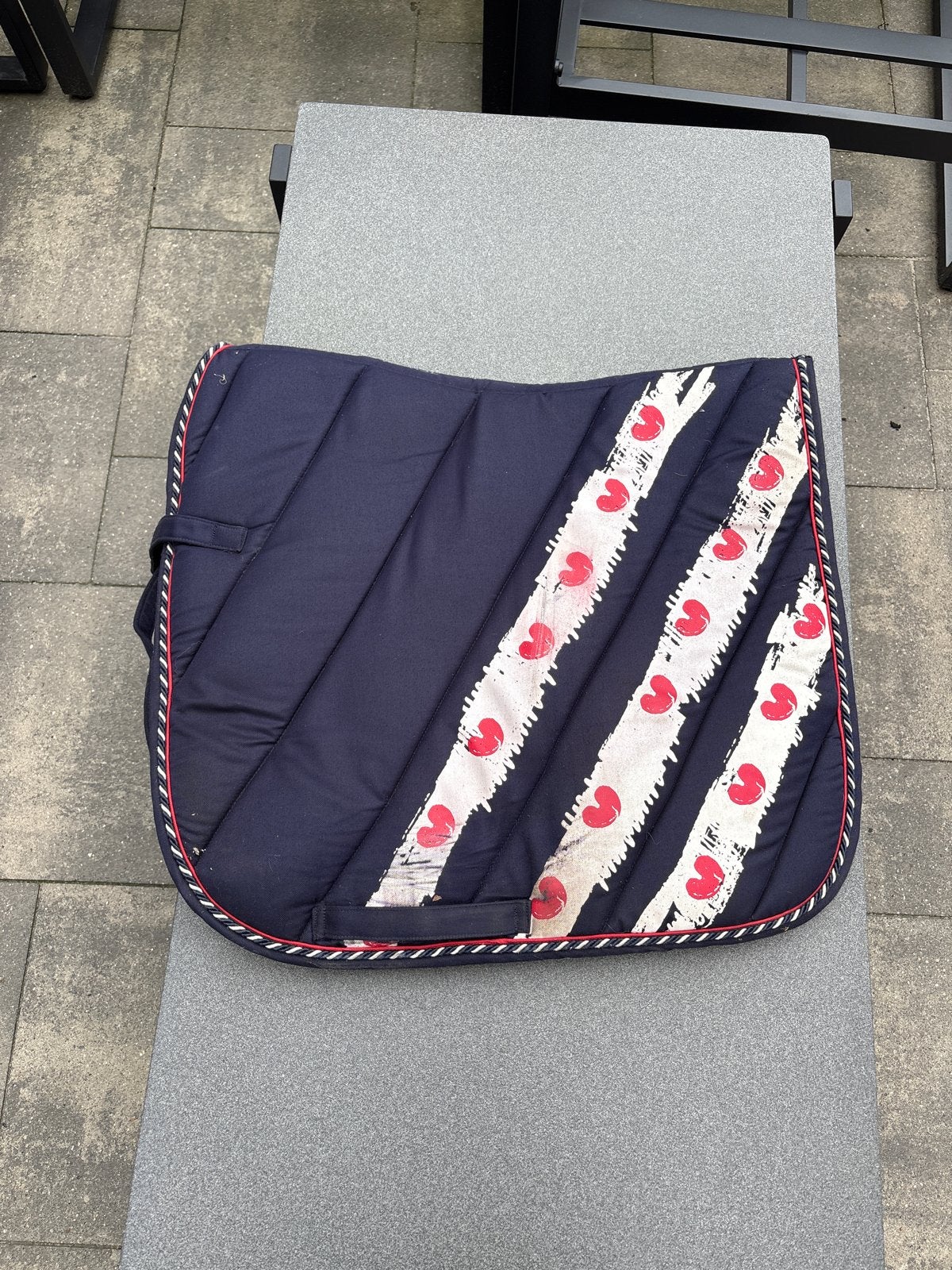 Fries paardendekje, Ophalen of Verzenden, Gebruikt, Dressuur