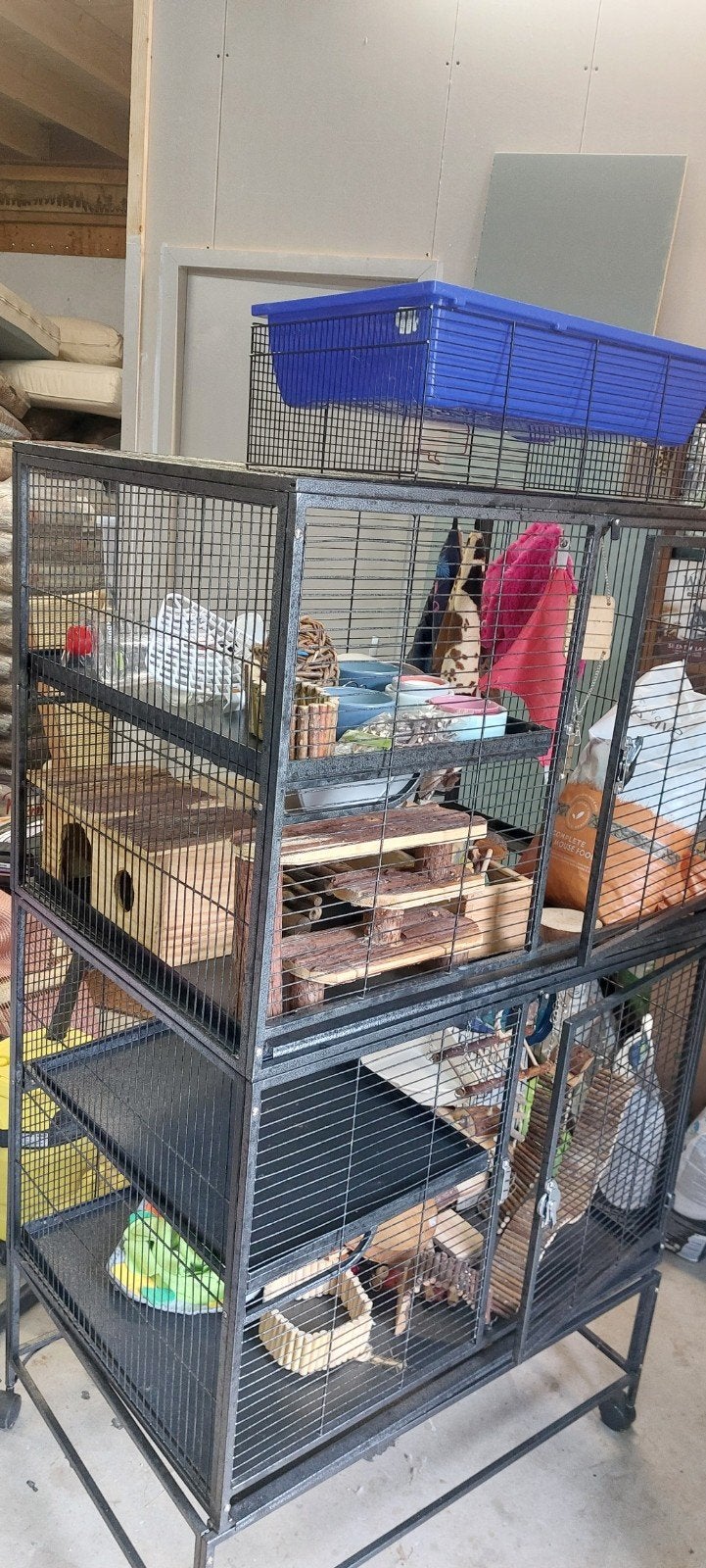 Grote rattenkooi op wielen, Ophalen, Gebruikt, Knaagmateriaal