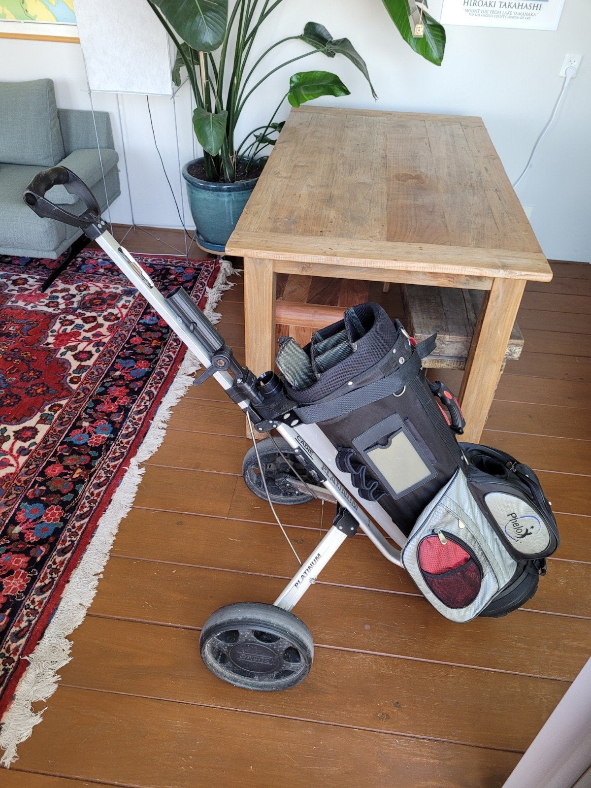 Golfkar met golftas - Phelos Platinum, Sport en Fitness, Golf, Ophalen, Gebruikt, Golfkar, Overige merken