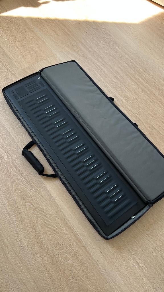 Roli Seaboard Rise 49, Muziek en Instrumenten, Midi-apparatuur, Zo goed als nieuw, Ophalen