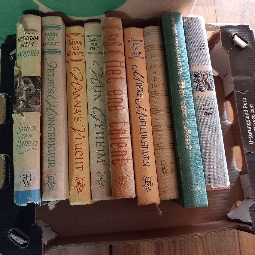 Sanne van havelte, Boeken, Romans, Ophalen of Verzenden, Gelezen
