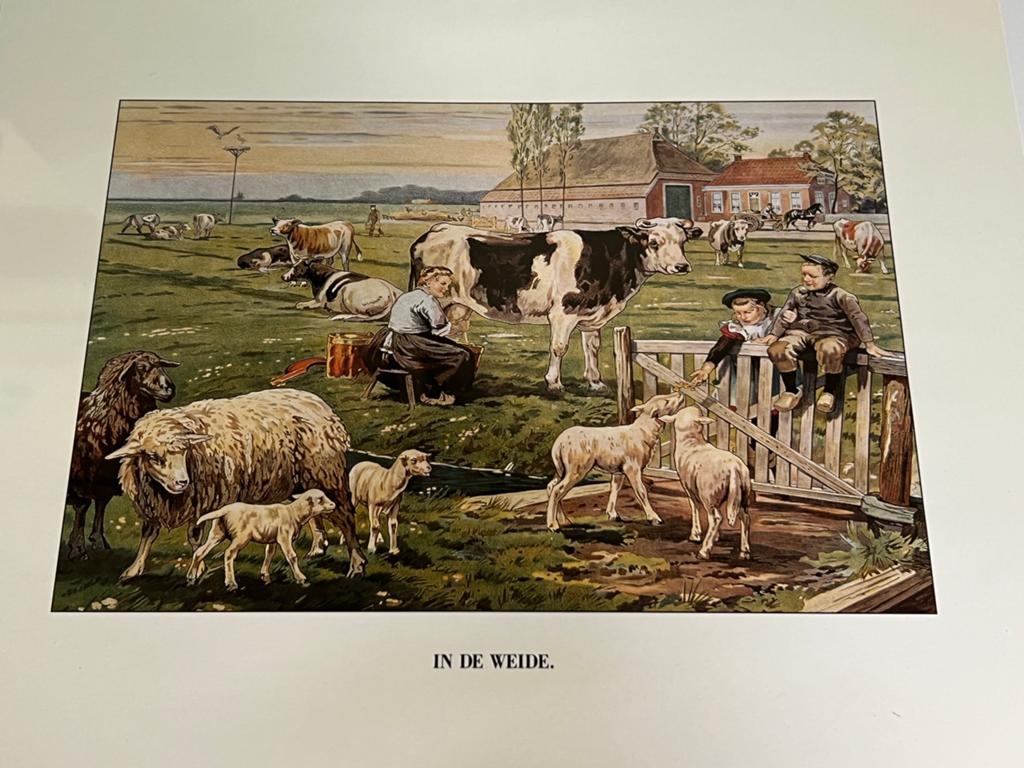 Ot en Sien prent In de weide, Ophalen of Verzenden, Natuur en Biologie
