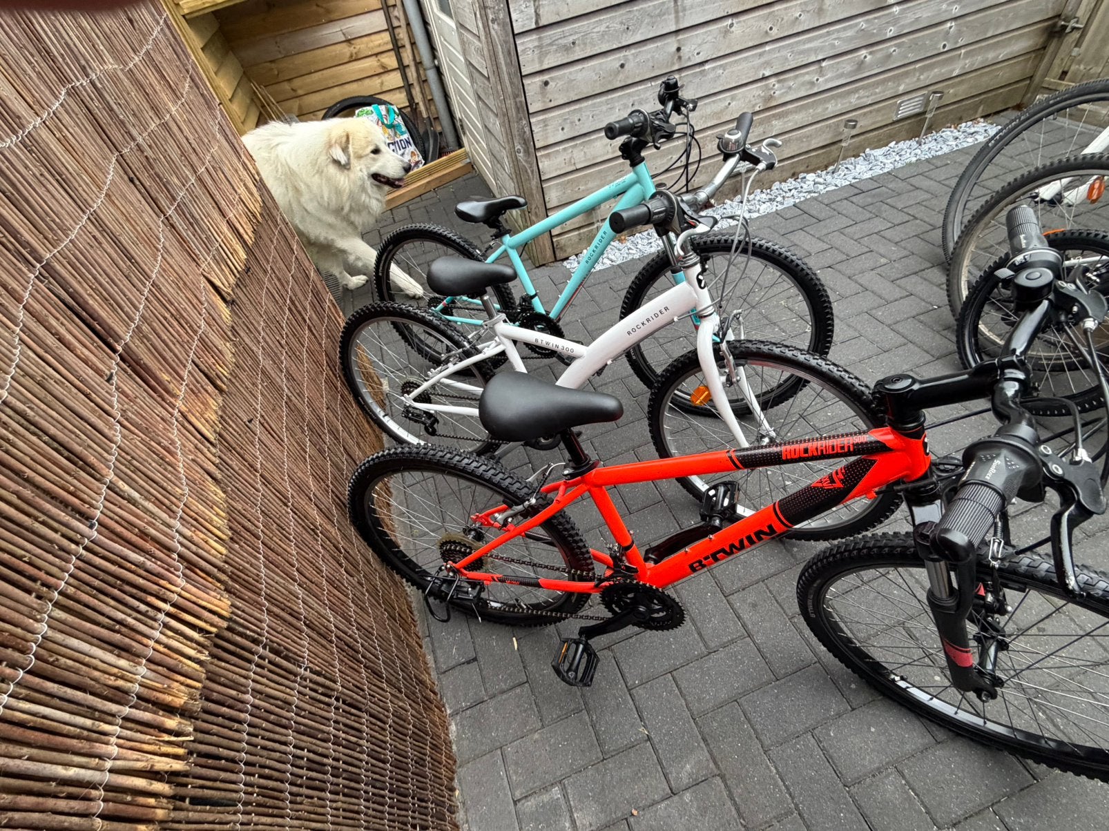 MOUNTAINBIKE 24 INCH 5 EN 18 VERSNELLINGEN VANAF 120 EURO, Minder dan 45 cm, Ophalen, Zo goed als nieuw, Overige merken