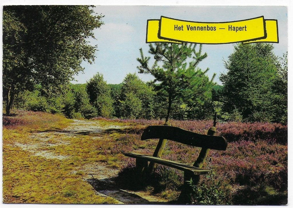 Hapert Het vennenbos gelopen Ansichtkaart (B27 ), Ophalen of Verzenden, 1960 tot 1980, Gelopen
