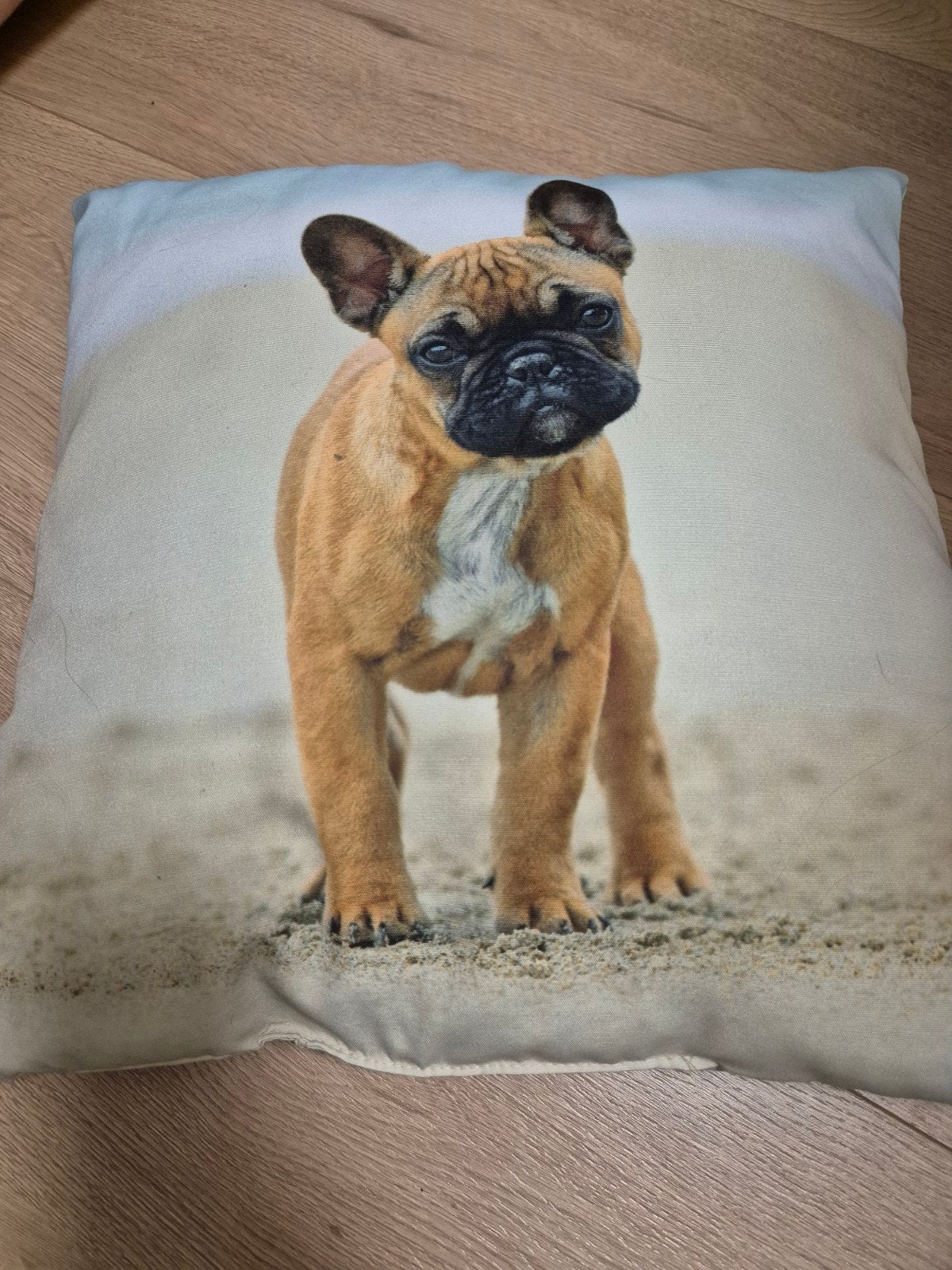 Sierkussen met schattige Franse Bulldog print, Overige merken, Gebruikt, Meerkleurig, Met print