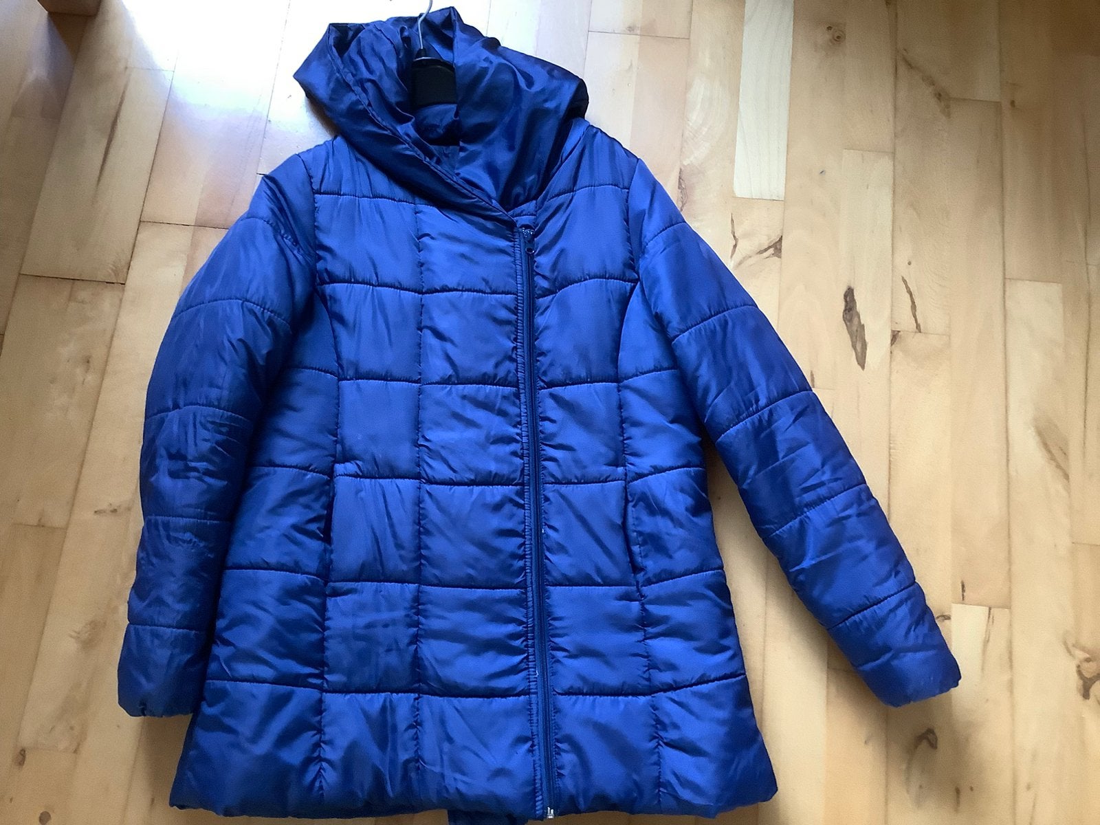 Winterjas, kobalt blauw. Maat L. Rits, capuchon, zakken., Kleding | Dames, Ophalen of Verzenden, Zo goed als nieuw, Blauw