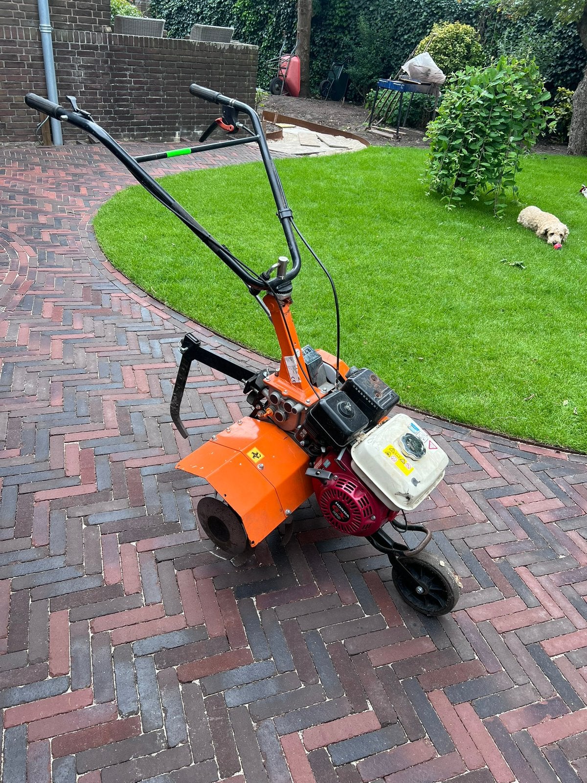 Tuinvrees / grondvrees met Honda GX160 6pk benzine motor, Ophalen, Zo goed als nieuw, 50 cm of meer, Versnellingen