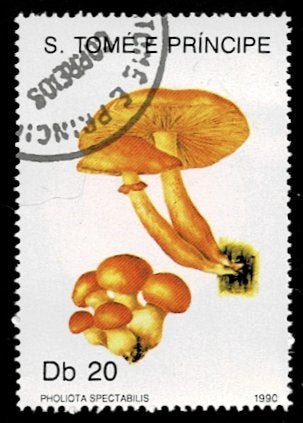postzegel990 Sao Tomé en Principe paddenstoel Prachtvlamhoed, Postzegels en Munten, Ophalen of Verzenden, Overige landen, Gestempeld