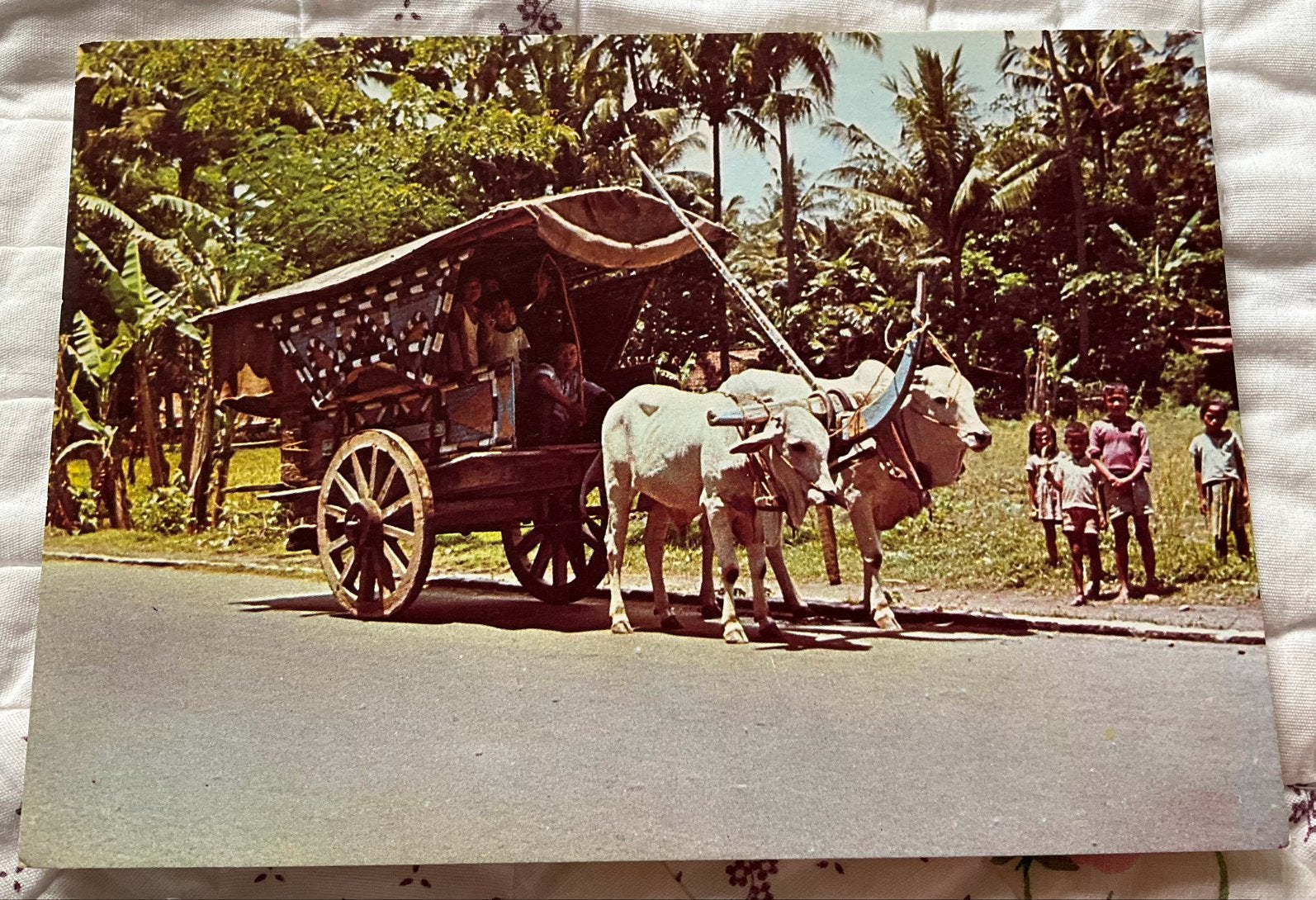 Indonesië, kar met zeboe koeien, Verzamelen, Ophalen of Verzenden, 1960 tot 1980, Buiten Europa