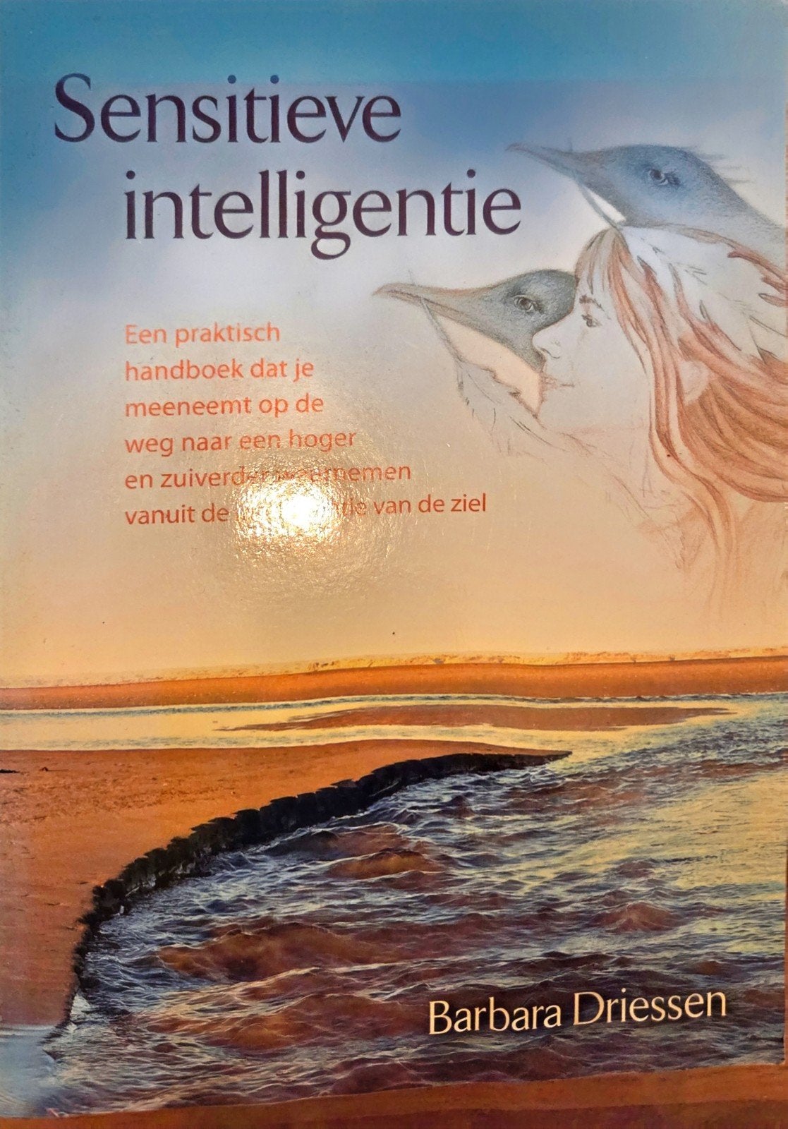 Sensitieve intelligentie - Barbara Driessen, Boeken, Spiritualiteit algemeen, Ophalen of Verzenden, Zo goed als nieuw, Instructieboek
