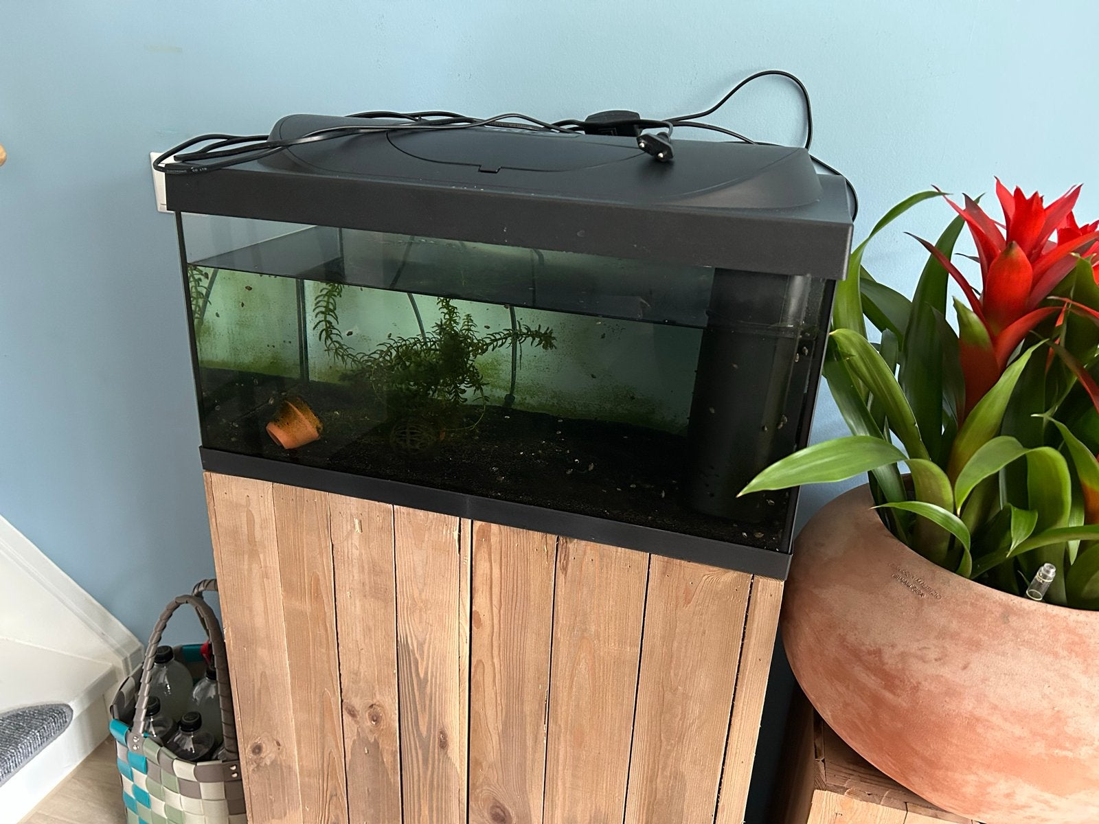 Aquarium 60 cm nieuw, Dieren en Toebehoren, Ophalen of Verzenden, Leeg aquarium