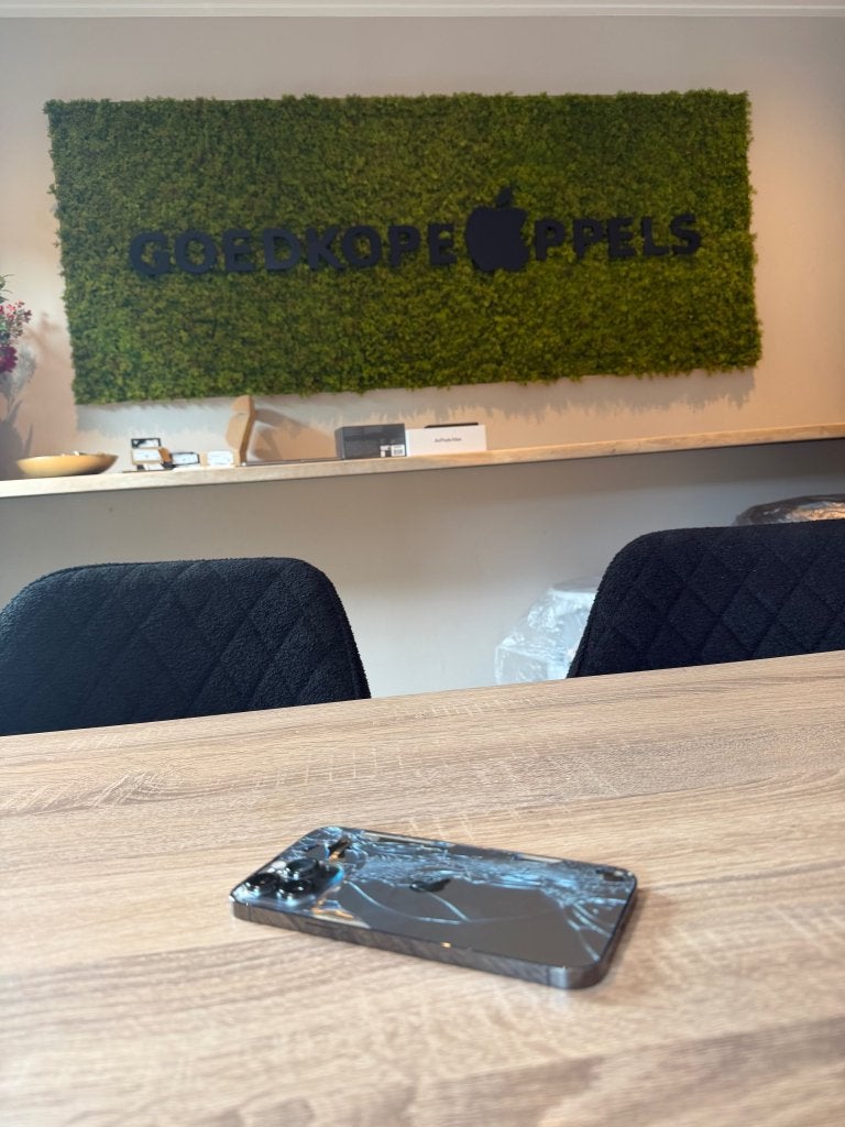 iPhone 13 Pro Max 128GB Grijs | defect, Ophalen, 128 GB, Apple, Cupertino California