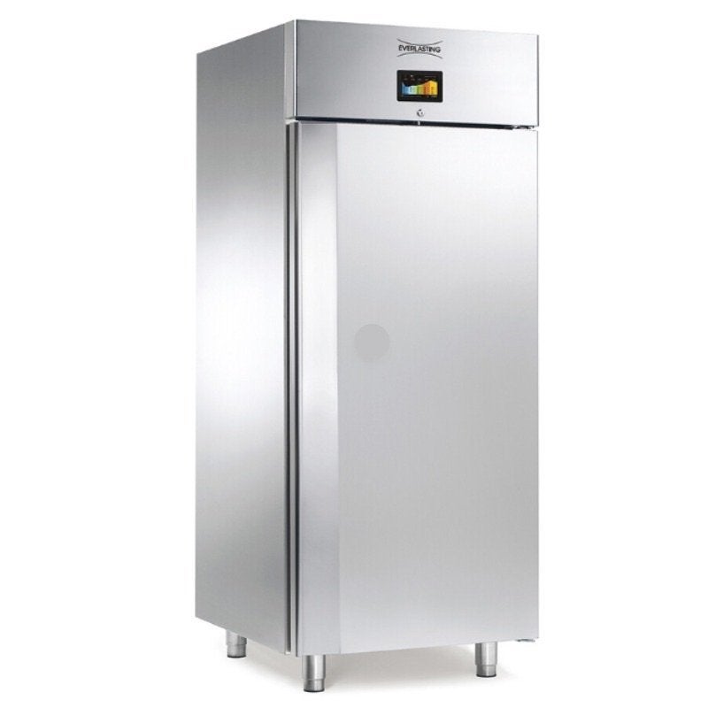 Professionele Vriezer met ruimte voor 40 bakplaten (60x40), Witgoed en Apparatuur, Vriezers en Diepvrieskisten, 160 cm of meer