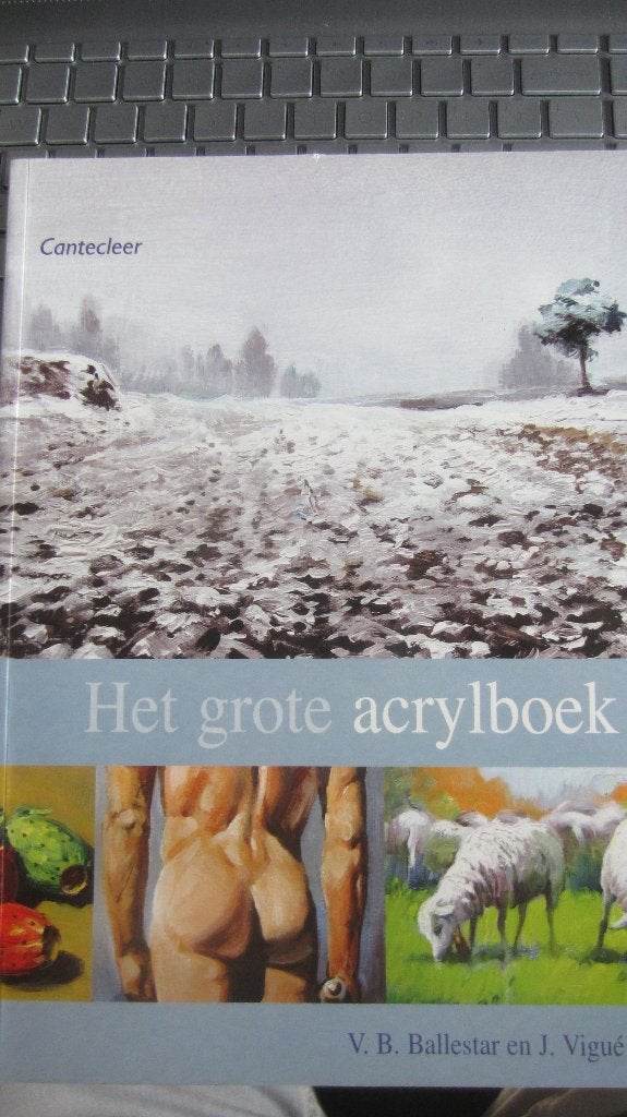 Het grote Acrylboek.(Uigever CANTECLEER), Ophalen of Verzenden, Zo goed als nieuw, Acrylverf