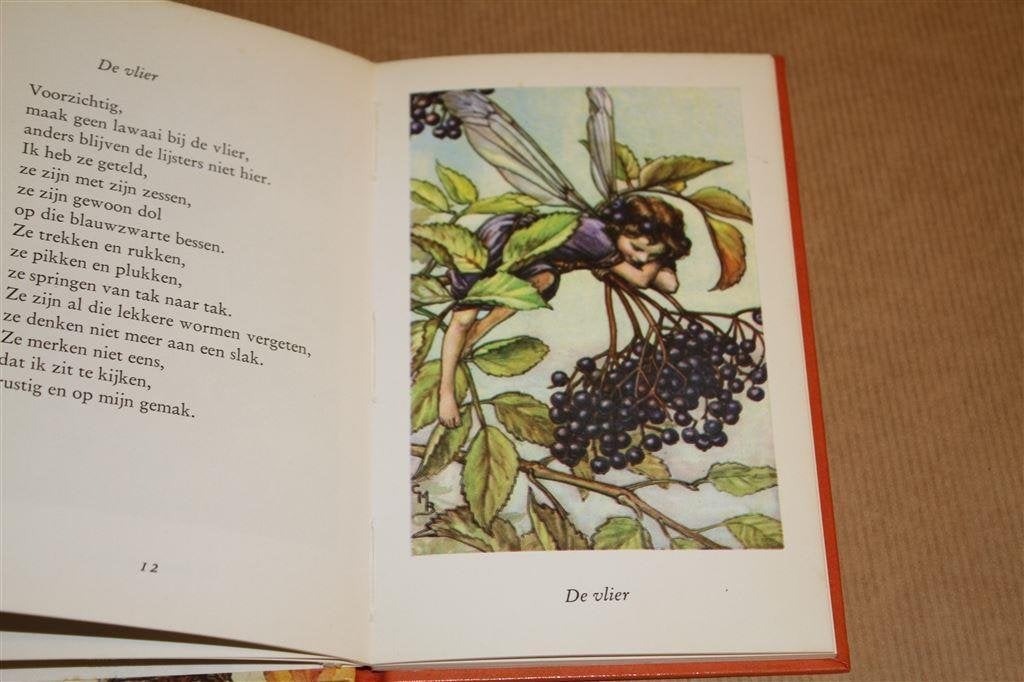 Bloemenkinderen van de herfst. Cicely Mary Barker., Boeken, Ophalen of Verzenden, Gelezen