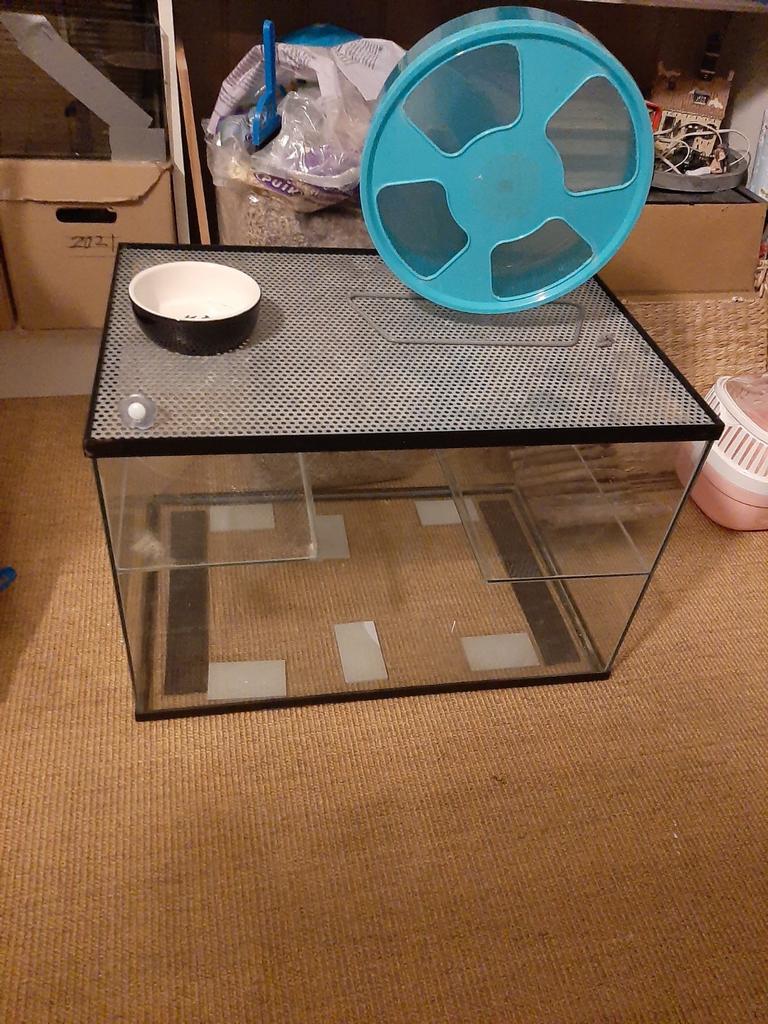 Prachtig terrarium voor hamster, gerbil of muis, Dieren en Toebehoren, Knaagdieren en Konijnen | Hokken en Kooien, Hok, Minder dan 60 cm