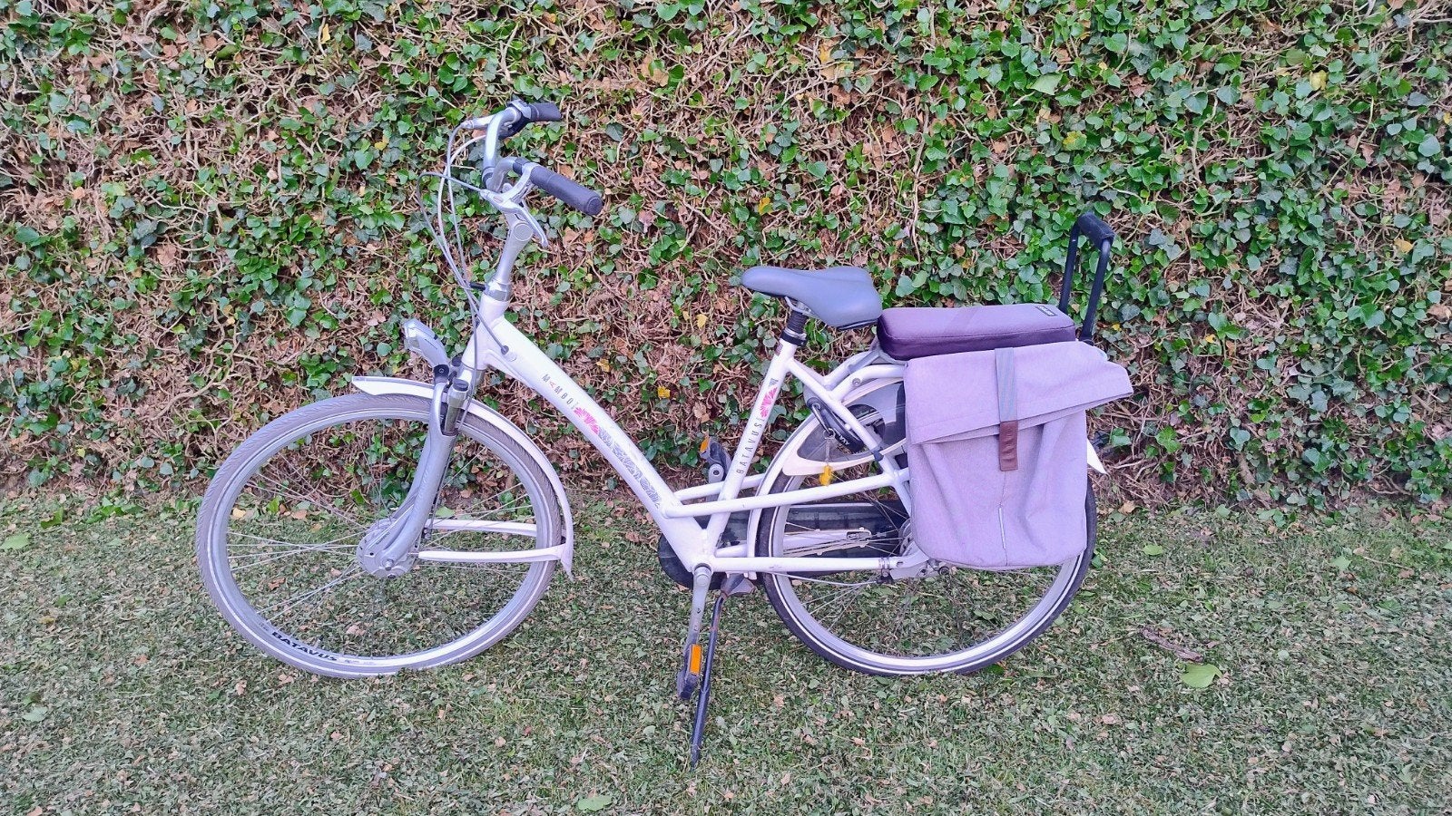 Batavus Mambo damesfiets, framemaat 53, veelgebruikt, Ophalen, Gebruikt, Versnellingen, Batavus