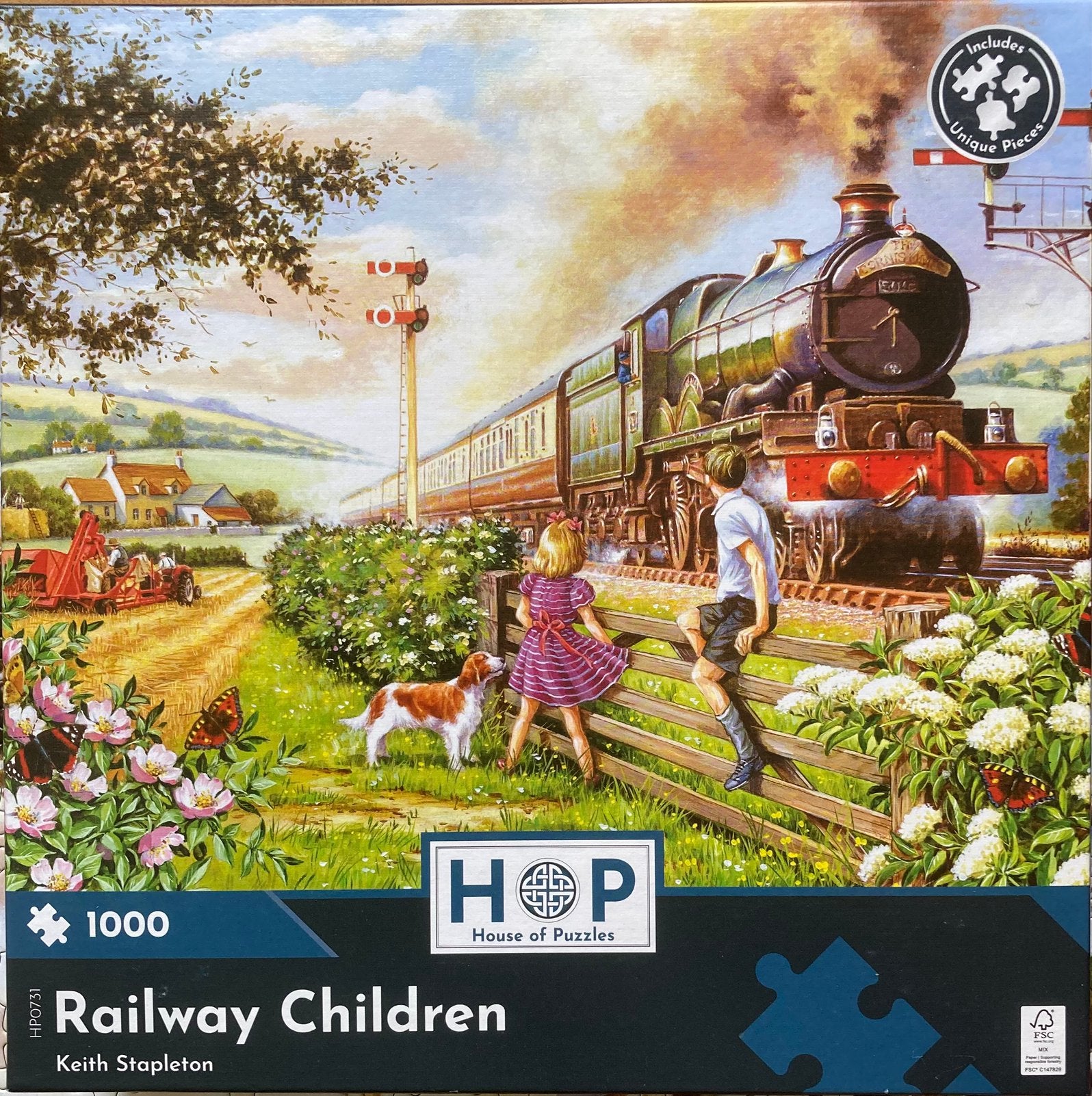 HOP 1000🧩  Railway Children, Ophalen of Verzenden, 500 t/m 1500 stukjes, Zo goed als nieuw, Legpuzzel