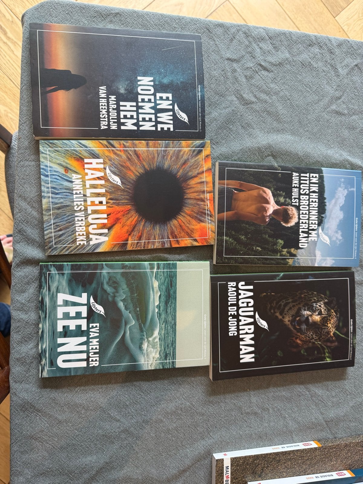 Boekenpakket HAVO: 5 Lijsters boeken - Diverse auteurs, Ophalen, Zo goed als nieuw