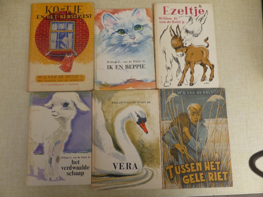 W.G. van de Hulst Jr. kinderboeken, Ophalen of Verzenden, Gelezen, Fictie algemeen