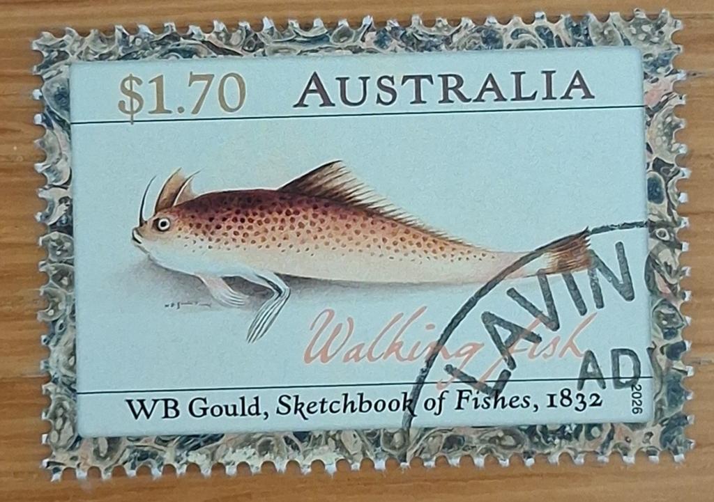 AUSTRALIË 2026: SKETCHBOOK OF FISHES, Postzegels en Munten, Postzegels | Oceanië, Ophalen of Verzenden