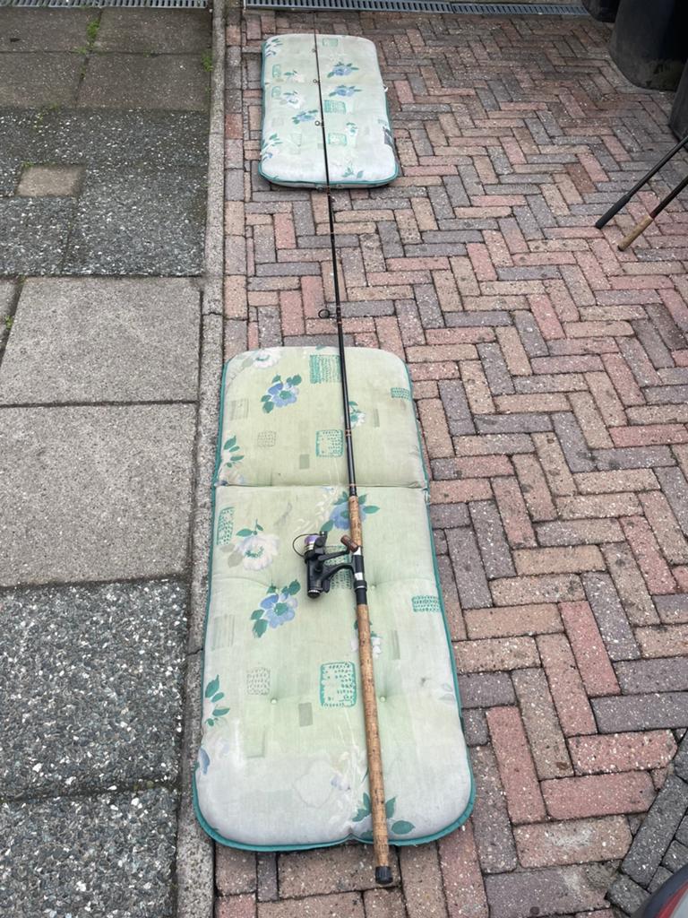 Berkley karper hengel 330 lang, Ophalen of Verzenden, Gebruikt, Werphengel