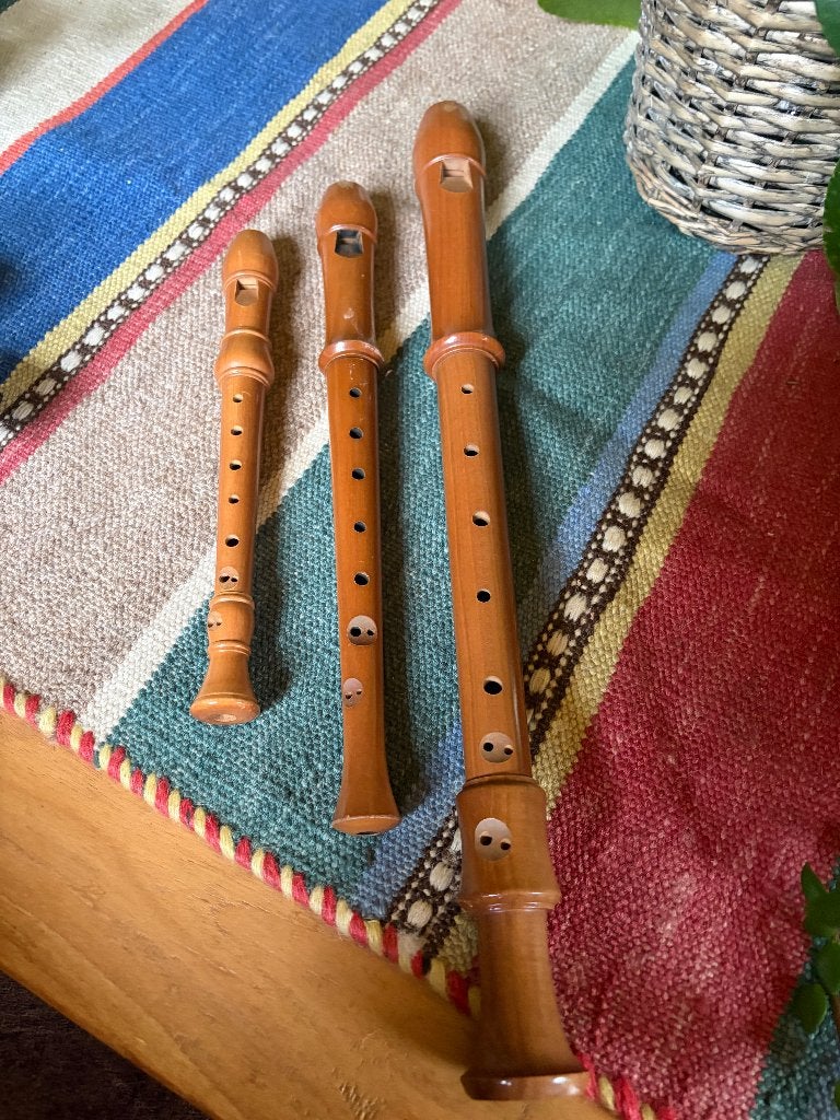 Set blokfluiten, Muziek en Instrumenten, Blaasinstrumenten | Blokfluiten, Ophalen, Gebruikt, Overige typen