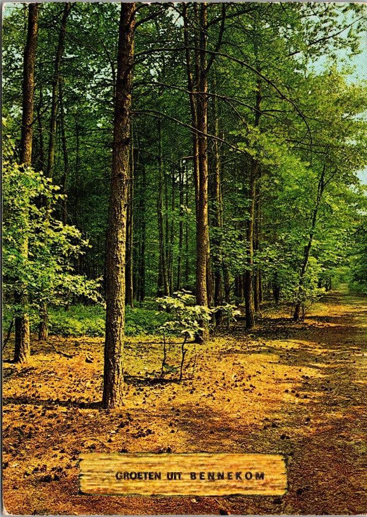 Groeten uit Bennekom (1977), Verzenden, 1960 tot 1980, Gelopen, Gelderland