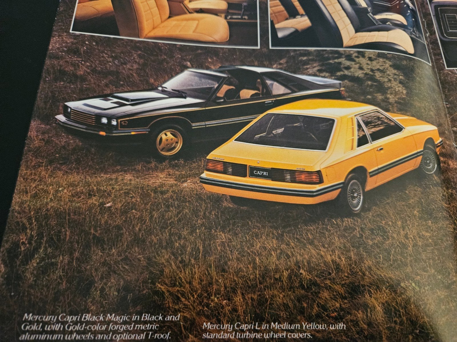 Brochure Mercury Capri 1982 USA, Ophalen of Verzenden, Zo goed als nieuw, Overige merken