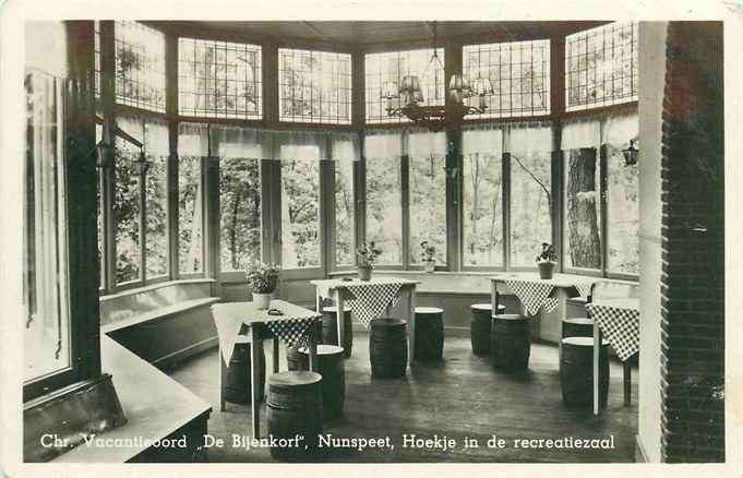 301-256-015 Nunspeet Chr vakantieoord de Bijenkorf, Verzenden, Voor 1920, Gelderland