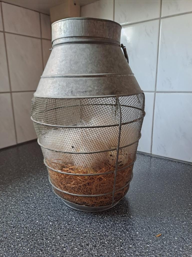 Leuke paasdeco melkbus stro kuikens, Diversen, Pasen, Ophalen of Verzenden, Zo goed als nieuw, N.v.t, N.v.t