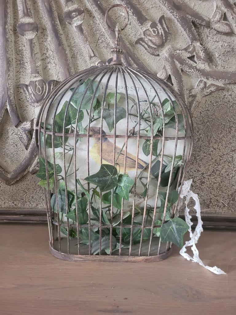 Leuke decoratiekooi met vogel en klimop, Ophalen of Verzenden