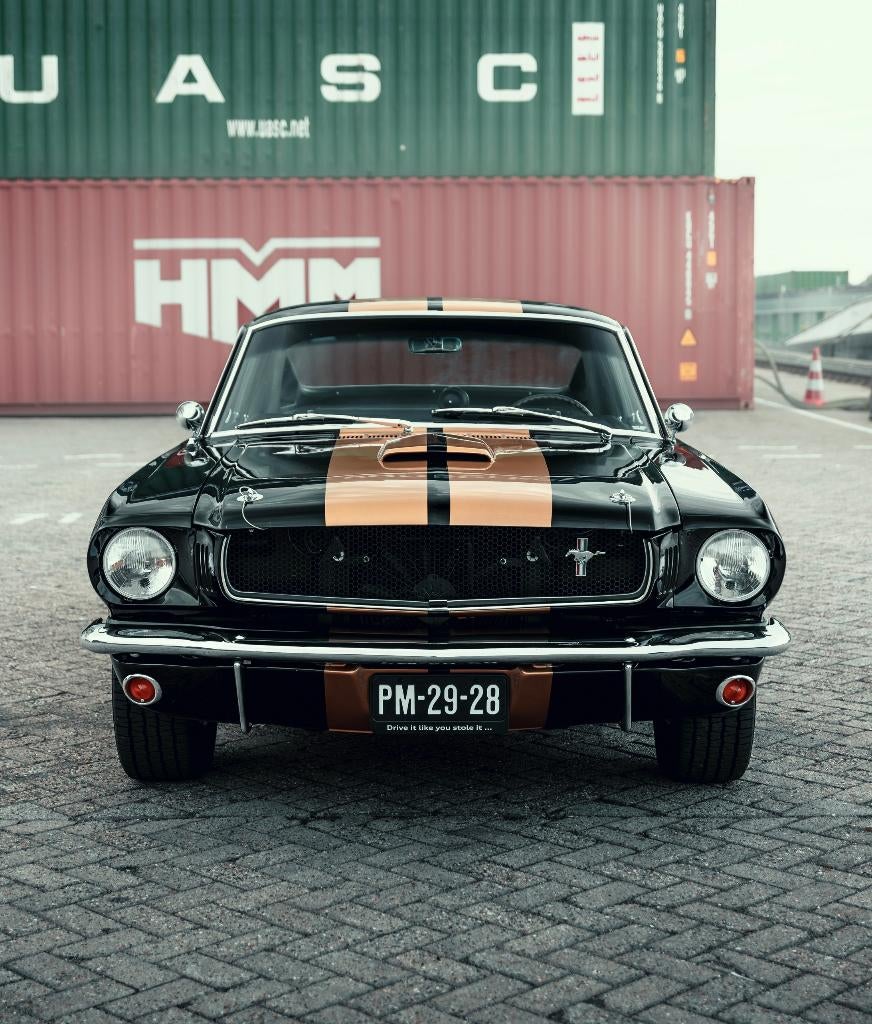 Foto 3 van Ford mustang Fastback 1965 Hertz tribute