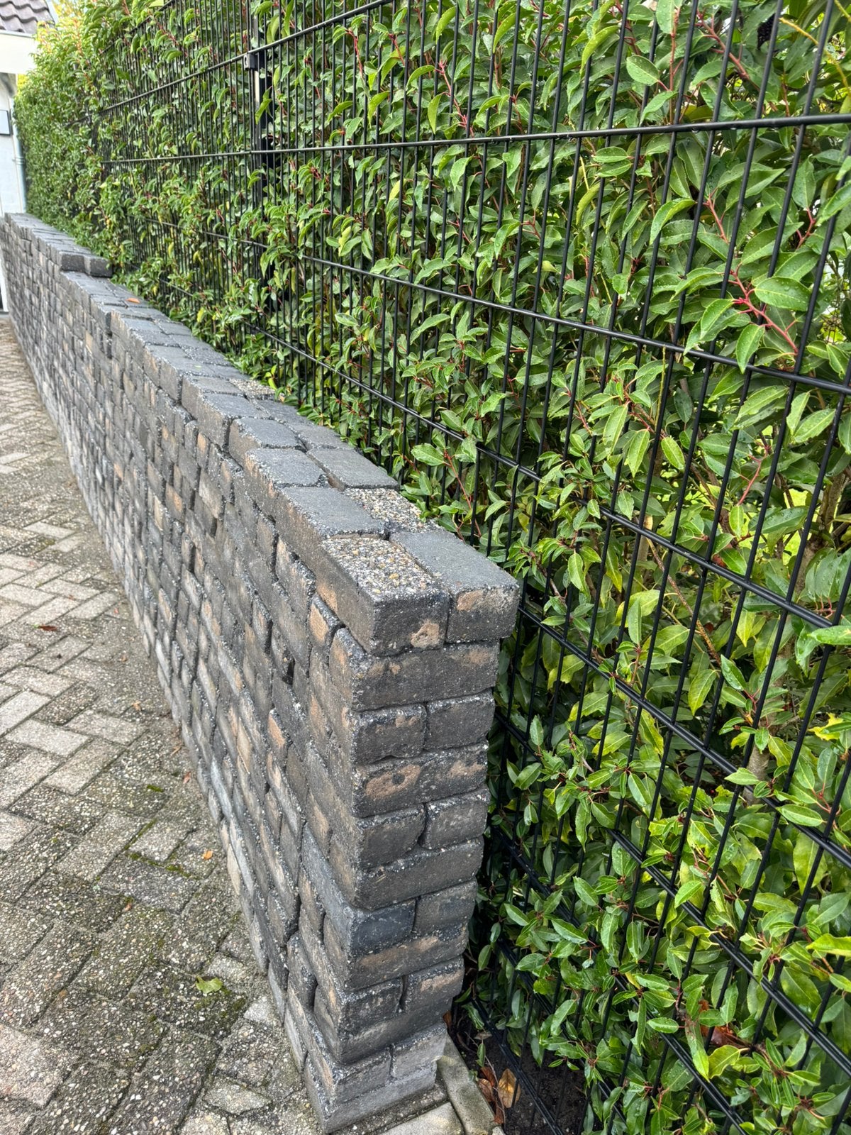 Gratis klinkers, Ophalen, Zo goed als nieuw, Beton, Klinkers