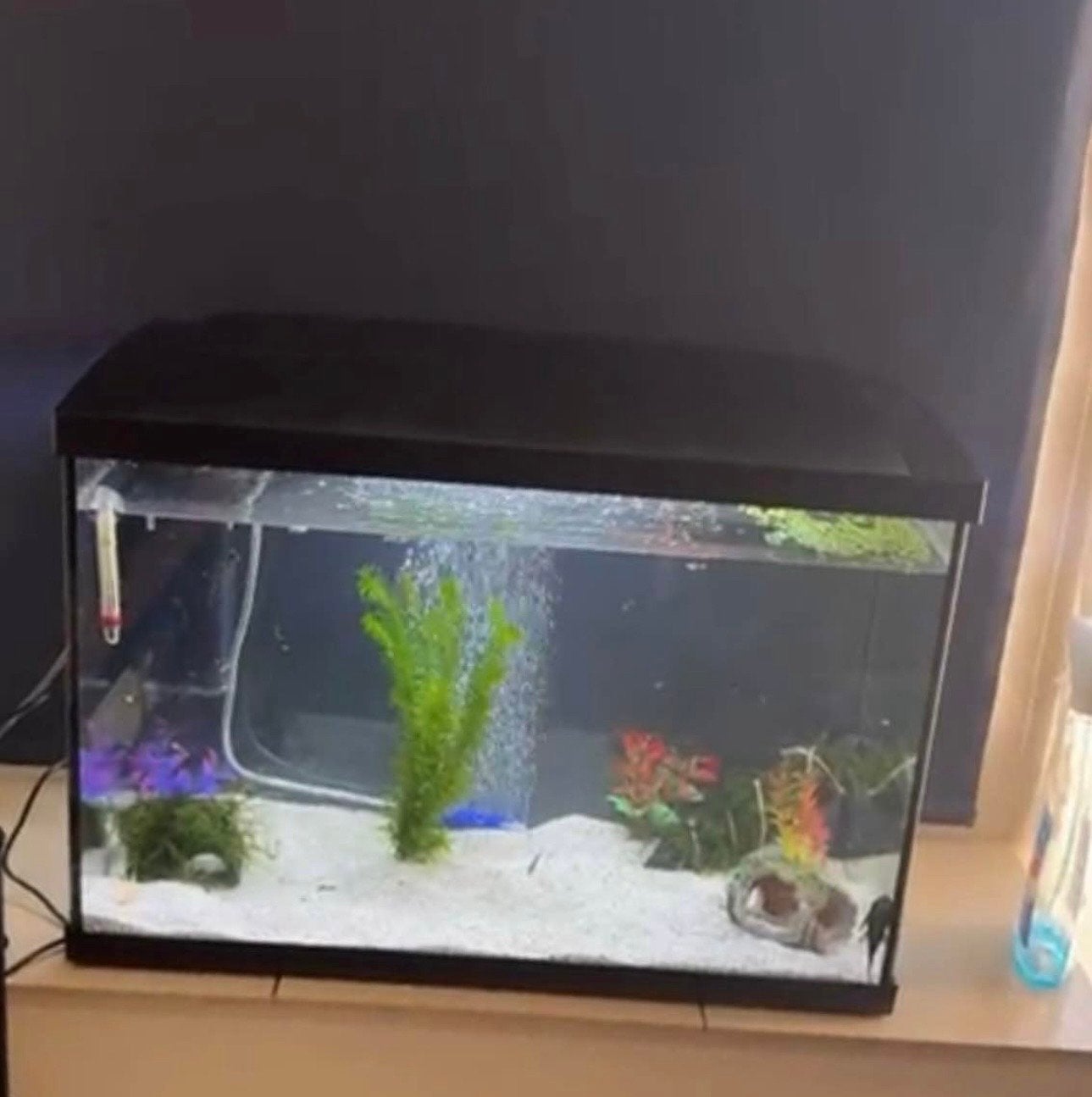 60 liter aquarium, Ophalen of Verzenden, Leeg aquarium