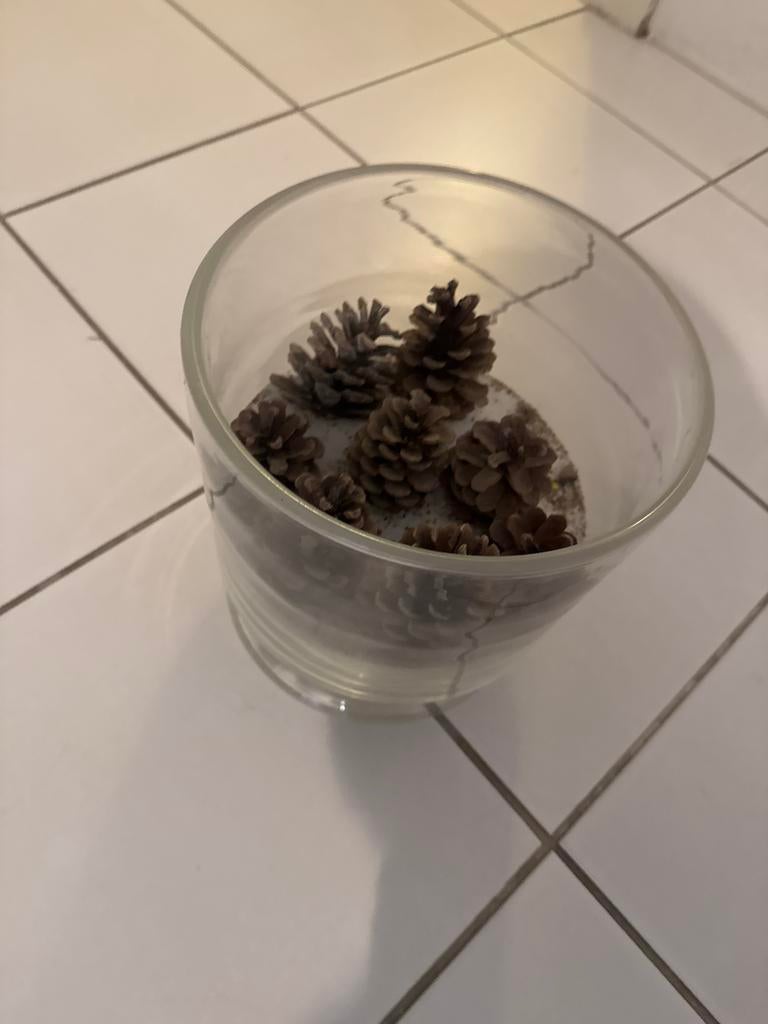 Decoratieve glazen pot met dennenappels, Huis en Inrichting, Woonaccessoires | Overige, Ophalen, Meerkleurig, Glas, Landelijk
