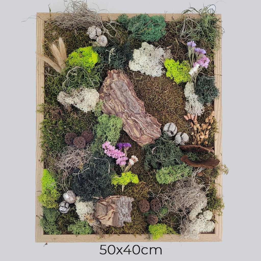 diy pakket mosschilderij, Ophalen of Verzenden, Nieuw, Knutselwerk