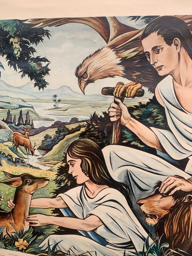 Oude schoolplaat paradijs Eden Adam en Eva - vintage poster, Ophalen of Verzenden, Geschiedenis